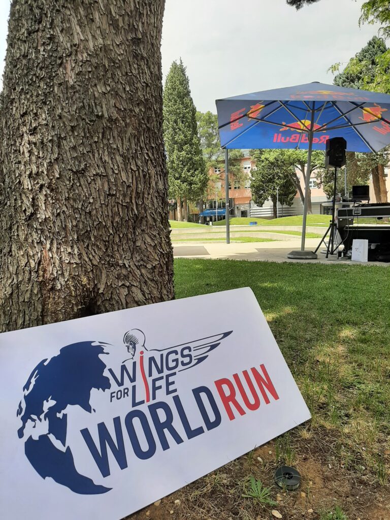 Wings for Life World Run